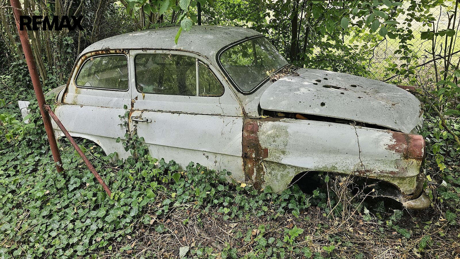 Fotka 21 z 29