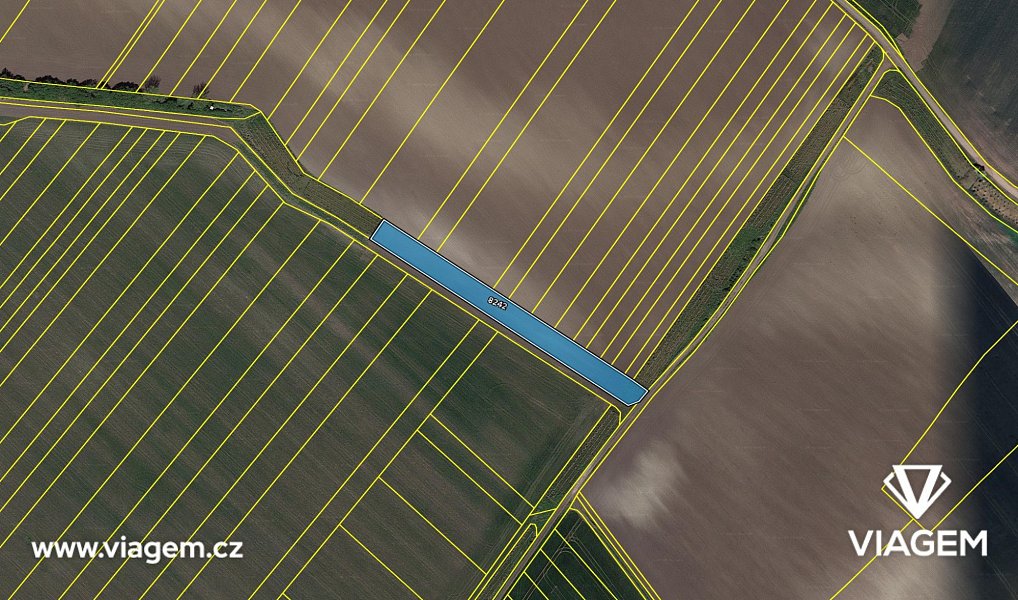 Prodej pole 374 m², Velké Pavlovice – náhled fotky 4