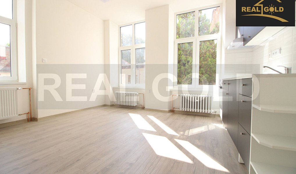 Pronájem bytu 1+kk 33 m², Třebíč – náhled fotky 4