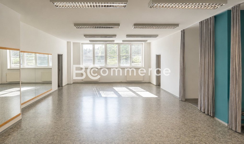 Pronájem kanceláře 90 m², Brno – náhled fotky 6