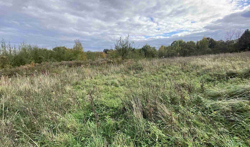 Prodej stavebního pozemku 1 651 m², Javorník – náhled fotky 5