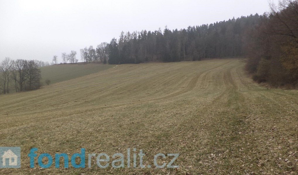 Prodej pole 41 964 m², Zvěstov – náhled fotky 11