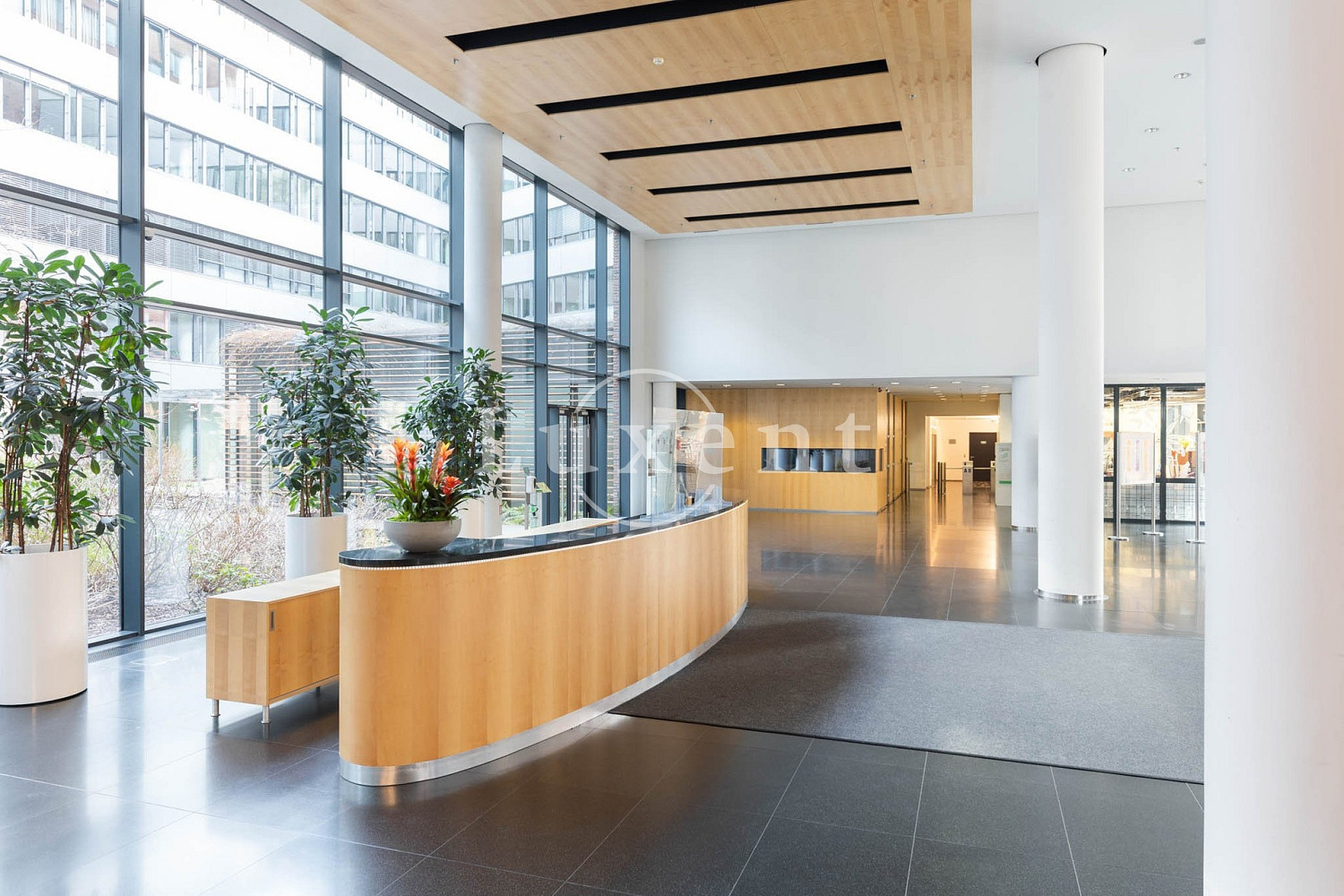 Pronájem kanceláře 650 m² – fotografie 2