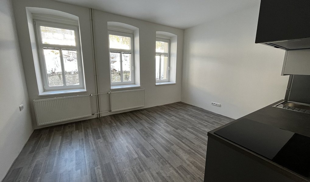 Pronájem bytu 1+kk 29 m², Liberec – náhled fotky 4