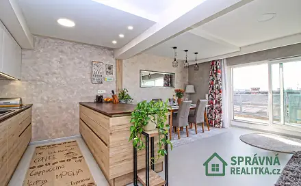 Prodej bytu 4+kk 119 m², Poděbradova, Plzeň - Jižní Předměstí