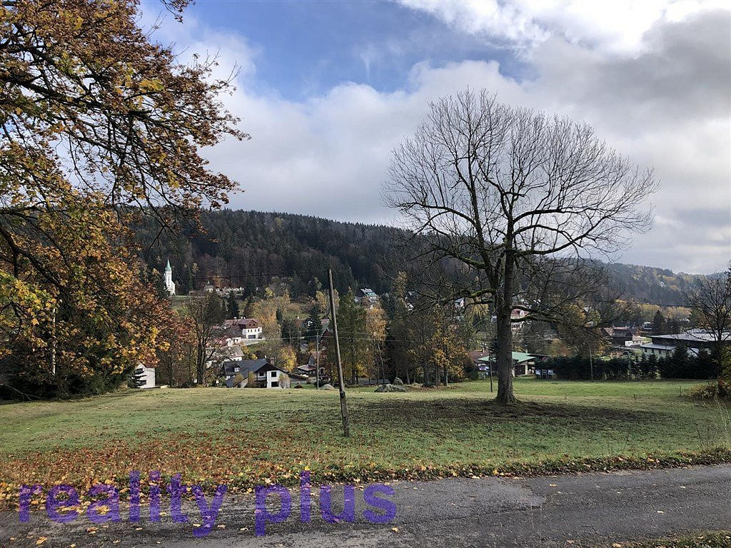 Prodej louky 5 448 m² – fotografie 3