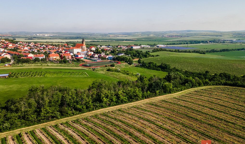 Prodej pozemku 256 256 m², Zaječí – náhled fotky 3