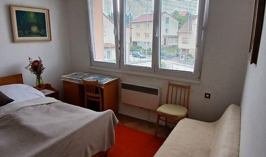 Prodej bytu 2+1 44 m², Kamenice nad Lipou – náhled fotky 6