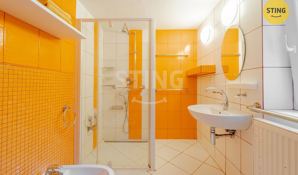 Prodej domu 140 m² s pozemkem 704 m², Holasovice – náhled fotky 11