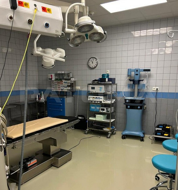 Pronájem komerčního objektu (jiného typu) 330 m² – pohled 5