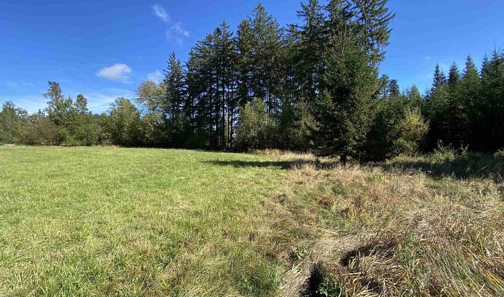 Prodej pole 4 706 m², Nový Rychnov – náhled fotky 7