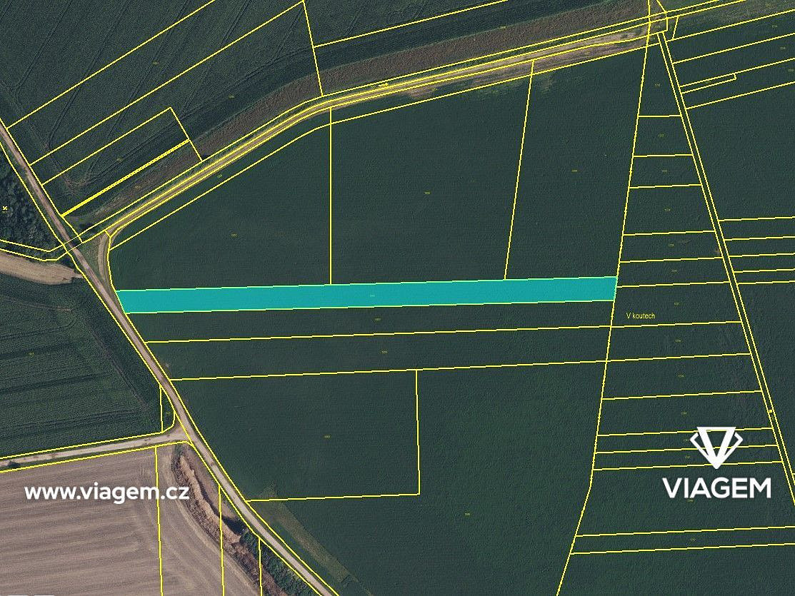 Prodej pole 1 110 m² – fotografie 3