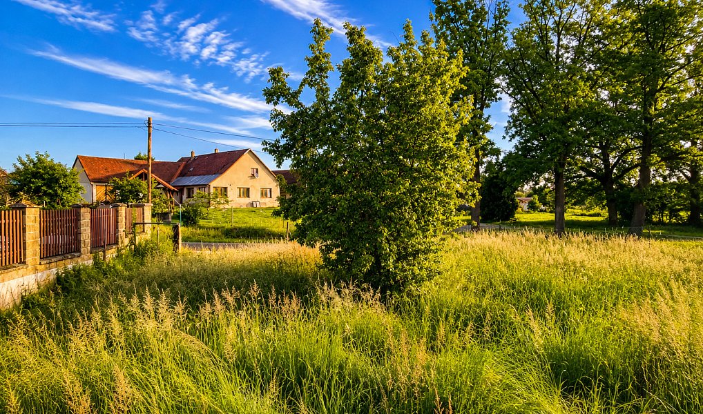 Prodej stavebního pozemku 445 m², Lodhéřov – náhled fotky 6