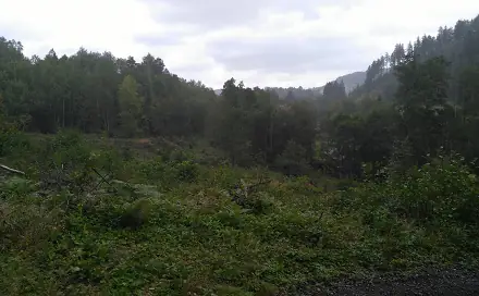 Prodej zahrady 7 879 m², Košťálov, okres Semily