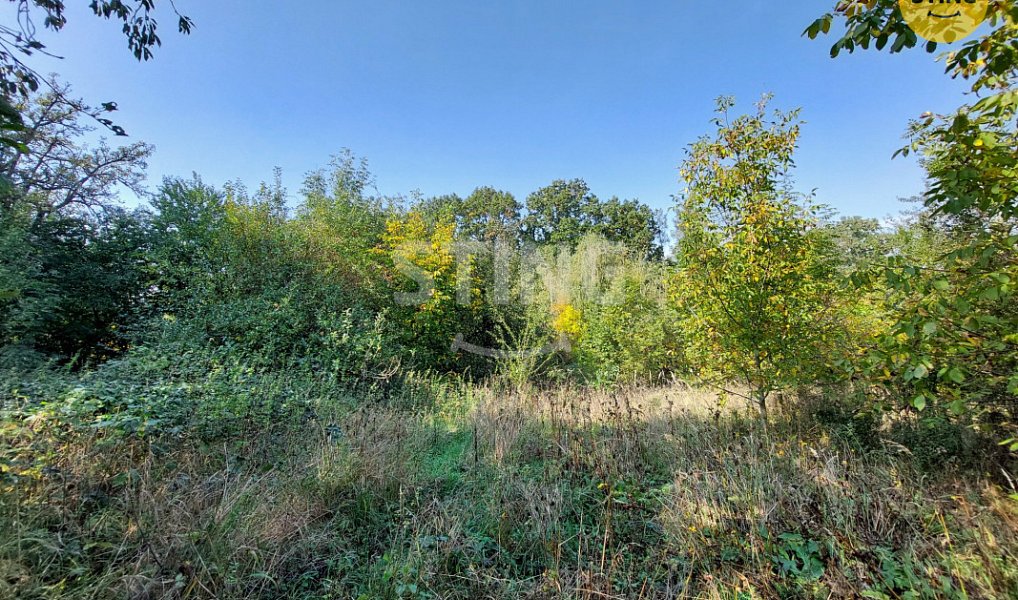 Prodej domu 260 m² s pozemkem 6 448 m², Dolní Těšice – náhled fotky 11