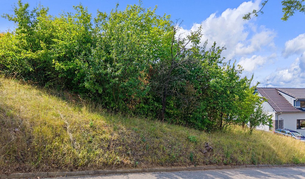 Prodej stavebního pozemku 1 635 m², Rašovice – náhled fotky 3