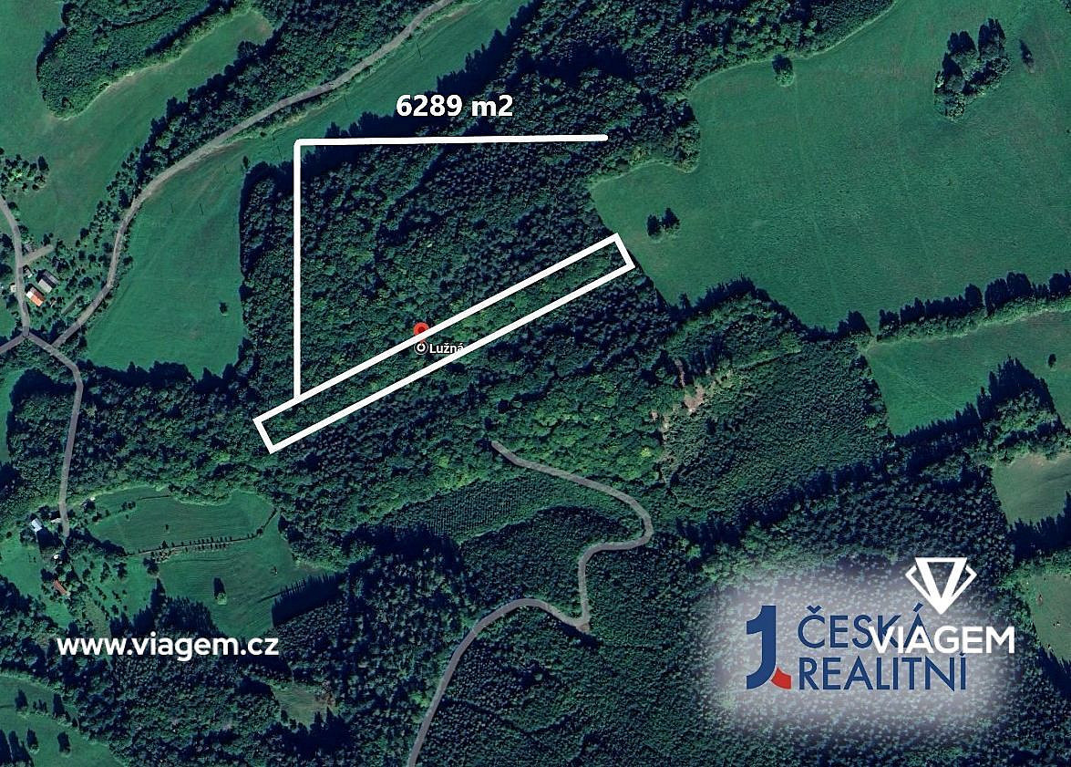 Prodej lesa 1 572 m²