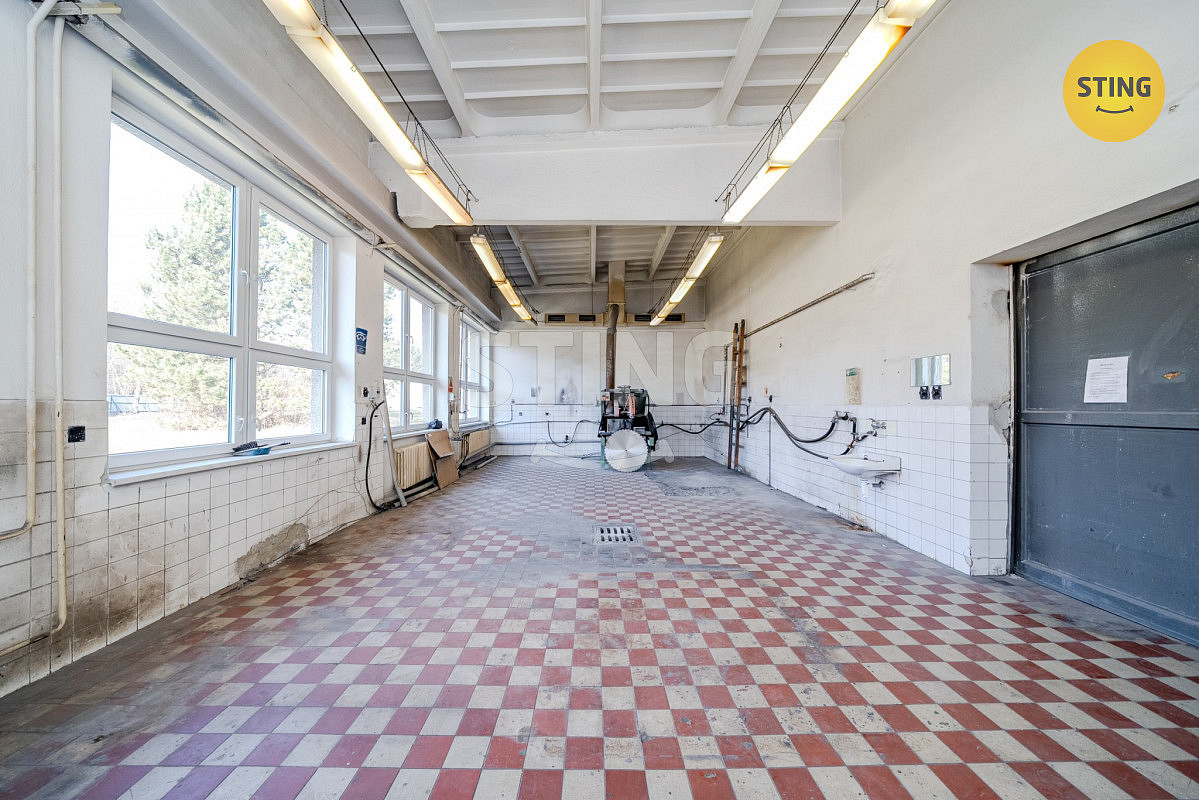 Pronájem komerčního objektu (jiného typu) 556 m² - Widok 6