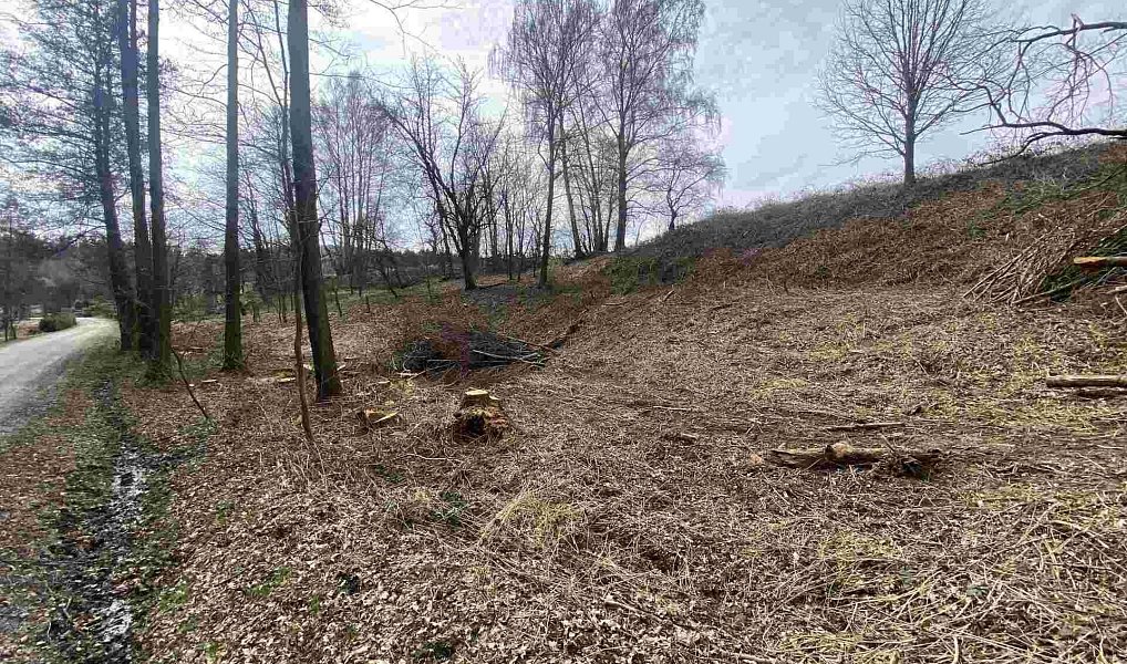 Prodej stavebního pozemku 704 m², Horní Stropnice – fotka 1 z 8