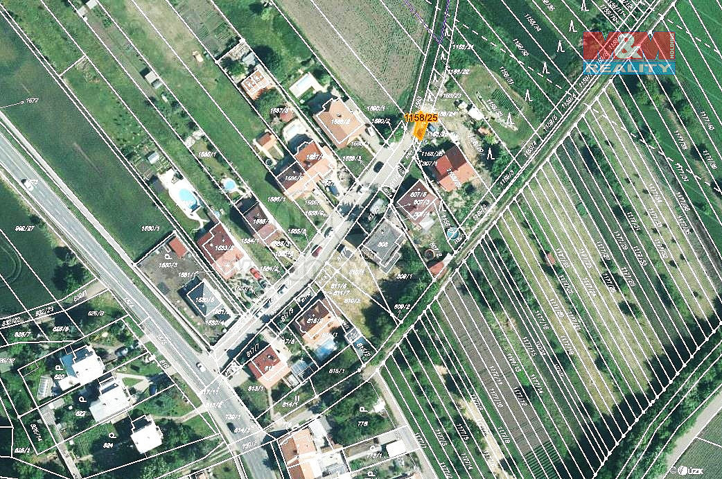 Prodej lesa 4 m² — photo 3