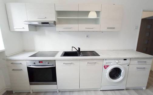 Pronájem bytu 1+1 46 m², Konstantina Biebla, Most