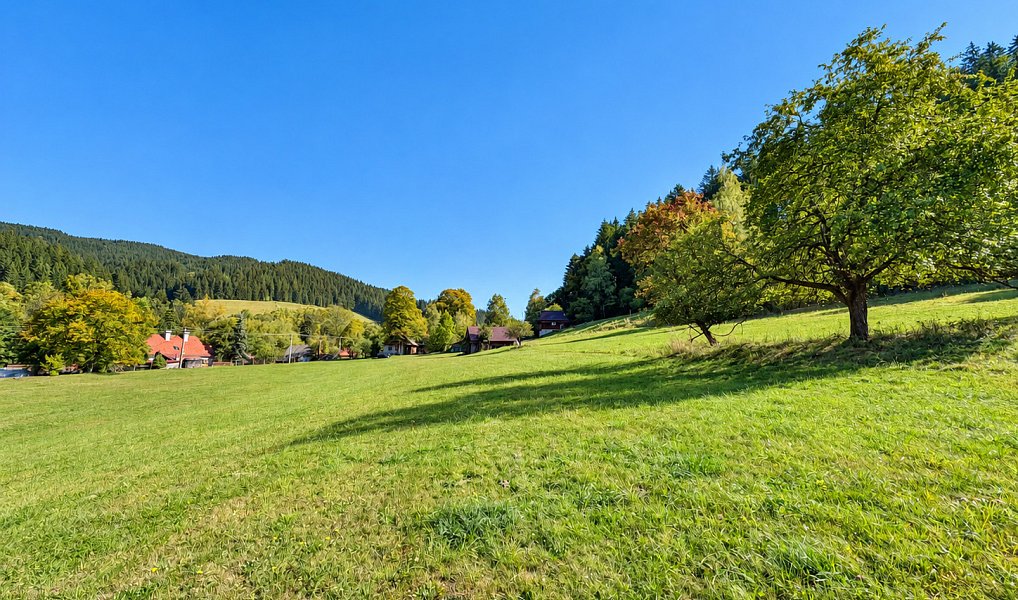 Prodej stavebního pozemku 3 256 m², Velké Karlovice – náhled fotky 12