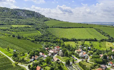 Ostatní