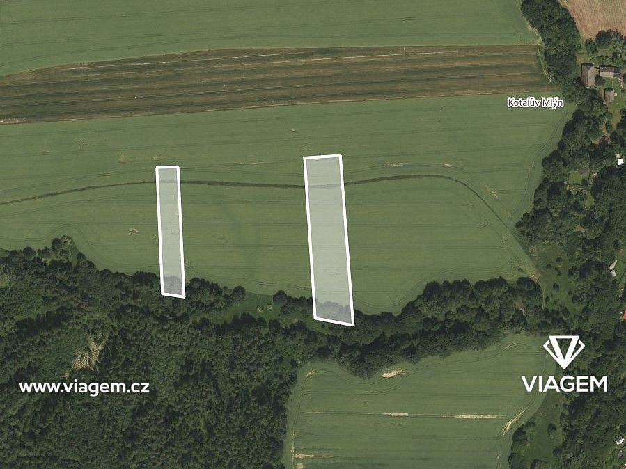 Prodej pole 2 966 m² – fotografie 2