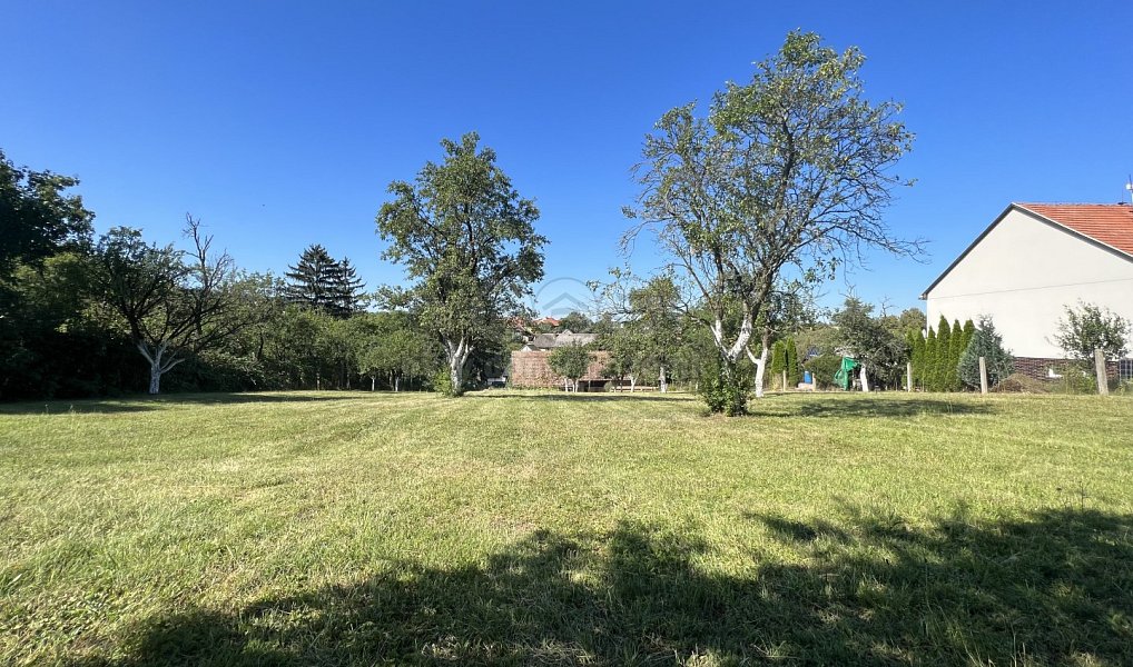 Prodej domu 333 m² s pozemkem 3 207 m², Roštín – náhled fotky 13