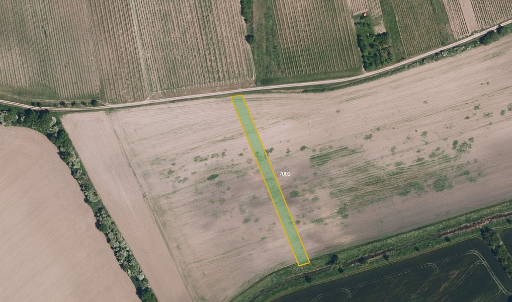Prodej pole 17 433 m², Kobylí – náhled fotky 2
