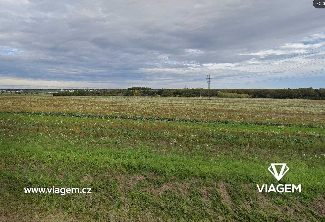 Prodej pole 967 m²
