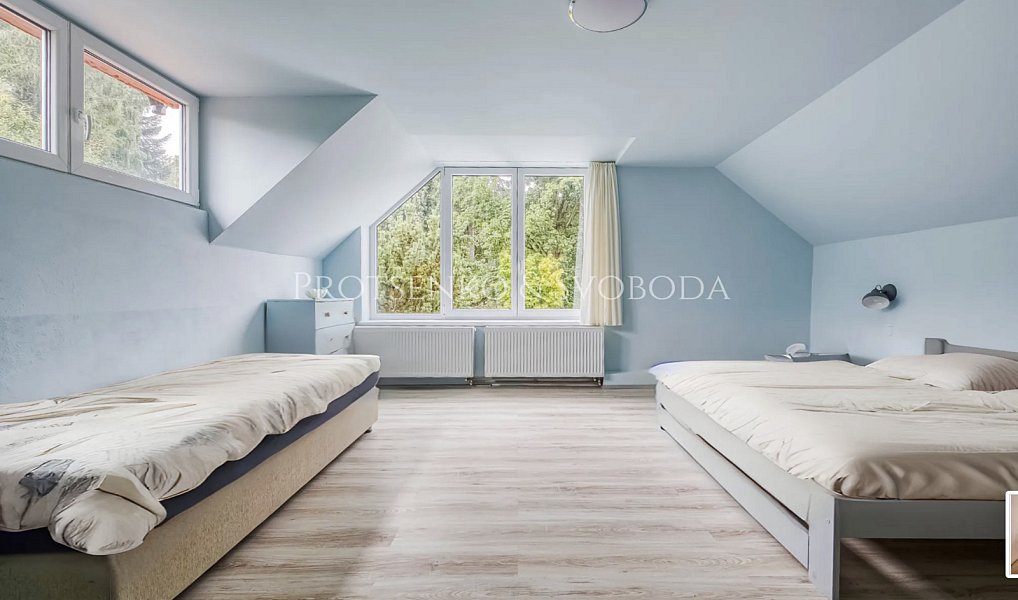 Prodej domu 354 m² s pozemkem 2 604 m², Pavlov – náhled fotky 45