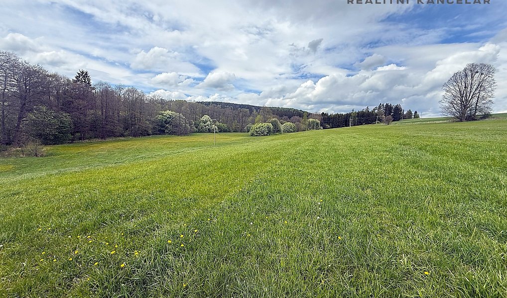 Prodej louky 17 174 m², Březiny – náhled fotky 7