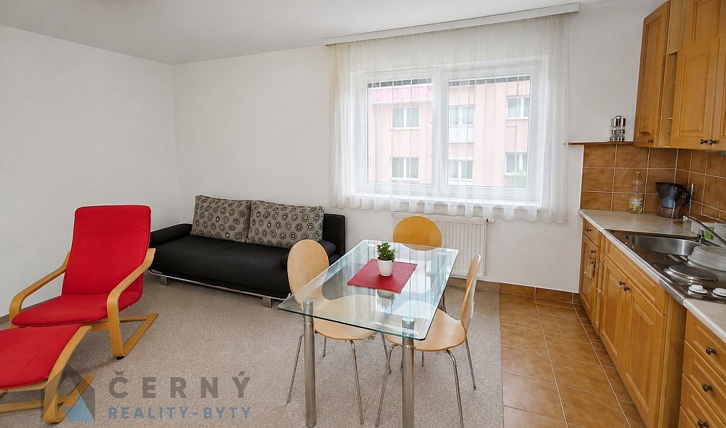 Pronájem bytu 1+kk 28 m², Liberec – náhled fotky 4