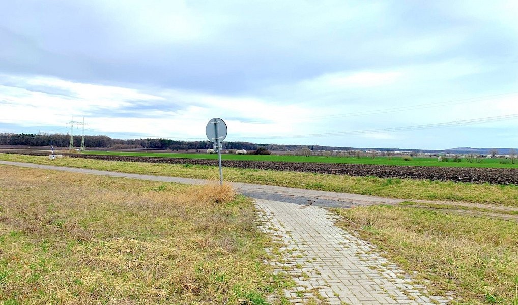 Prodej komerčního pozemku 12 172 m², Ovčáry – náhled fotky 3