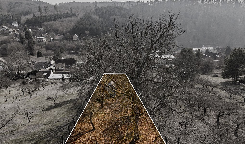 Prodej domu 123 m² s pozemkem 1 209 m², Řícmanice – náhled fotky 23