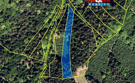 Prodej lesa 26 218 m², Rusava, okres Kroměříž