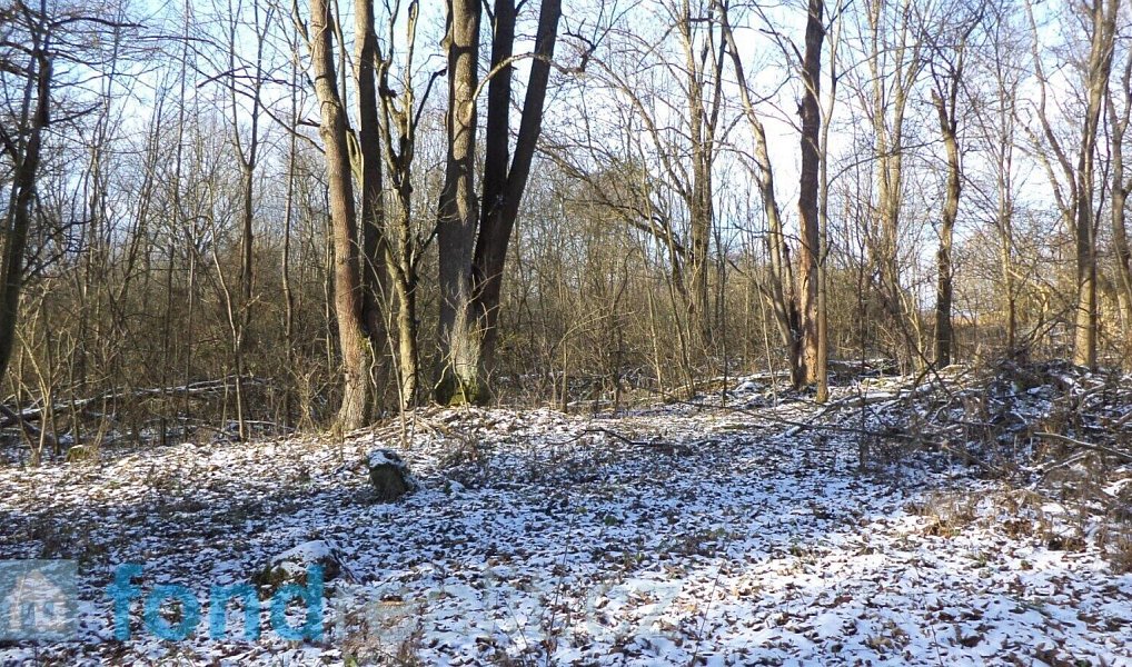 Prodej pozemku 3 575 m², Staré Město pod Landštejnem – náhled fotky 2