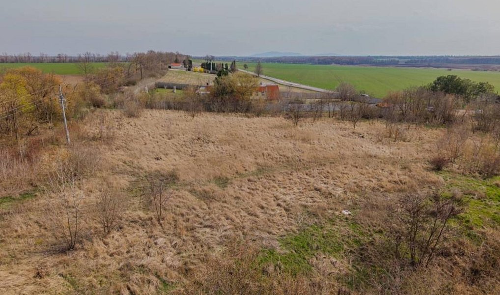 Prodej pozemku 6 663 m², Jiřice u Miroslavi – náhled fotky 7