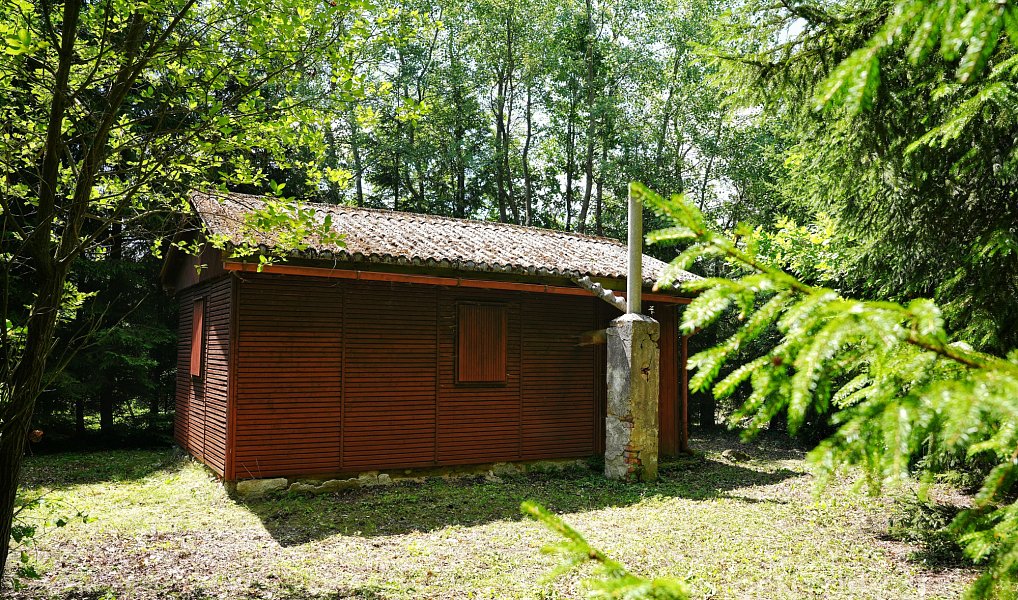 Prodej chaty/chalupy 22 m² s pozemkem 393 m², Dlouhá Ves – náhled fotky 6