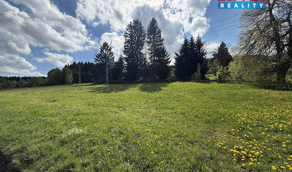 Prodej stavebního pozemku 2 109 m², Pěnčín – náhled fotky 4