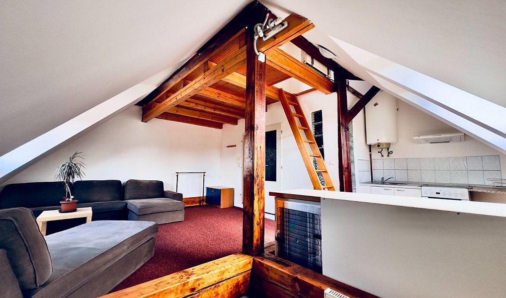 Pronájem bytu 1+kk 45 m², Cheb – náhled fotky 4