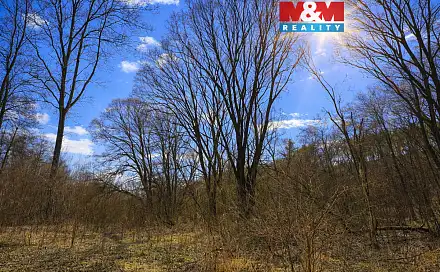 Prodej lesa 2 037 m², Snědovice - Střížovice, okres Litoměřice