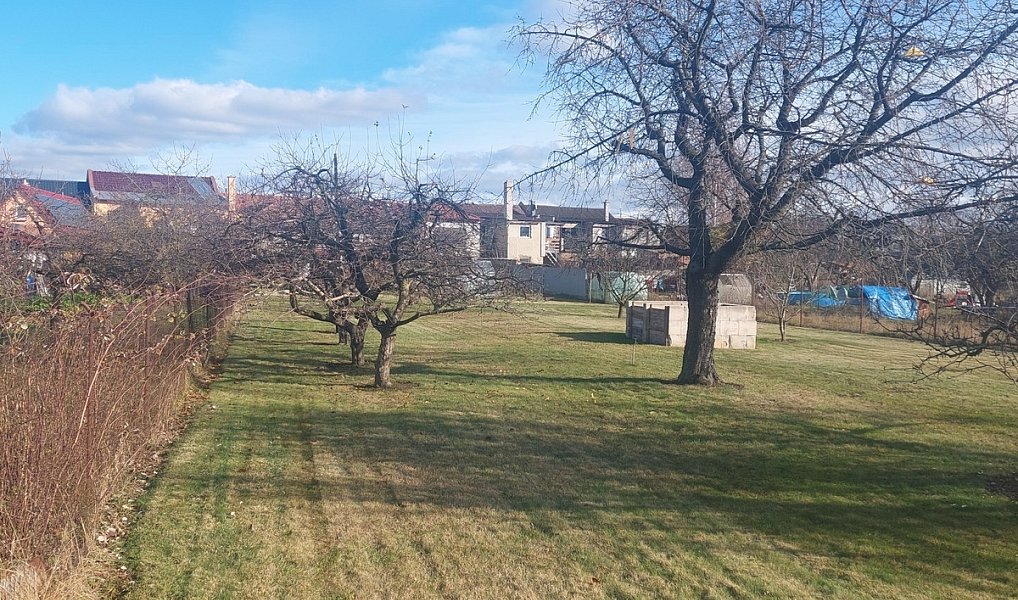 Prodej zahrady 1 080 m², Olomouc – náhled fotky 2