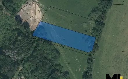 Prodej louky 4 236 m², Mladá Vožice, okres Tábor