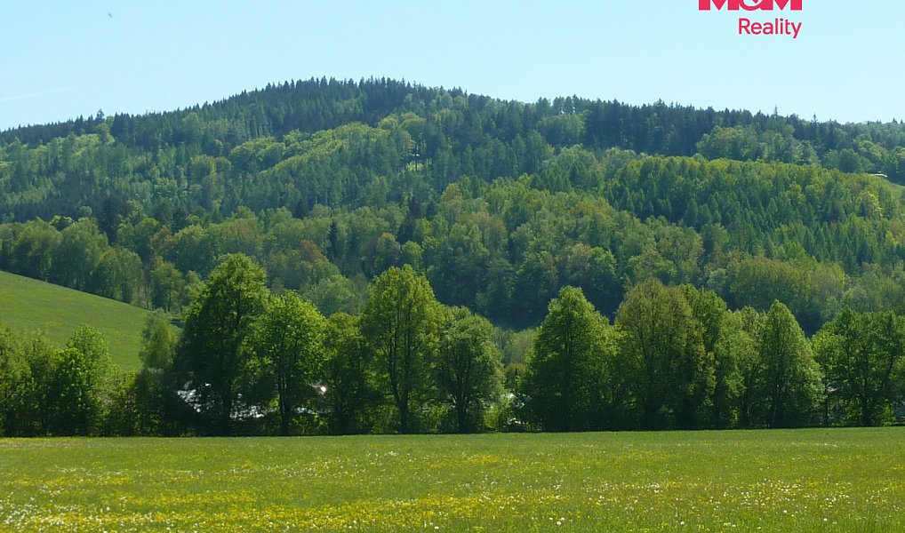 Prodej louky 20 490 m², Náchod – náhled fotky 2