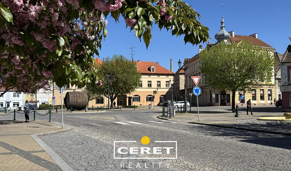 Prodej domu 139 m² s pozemkem 77 m², Žatec – náhled fotky 26