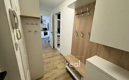 Pronájem bytu 1+kk 45 m², Brno