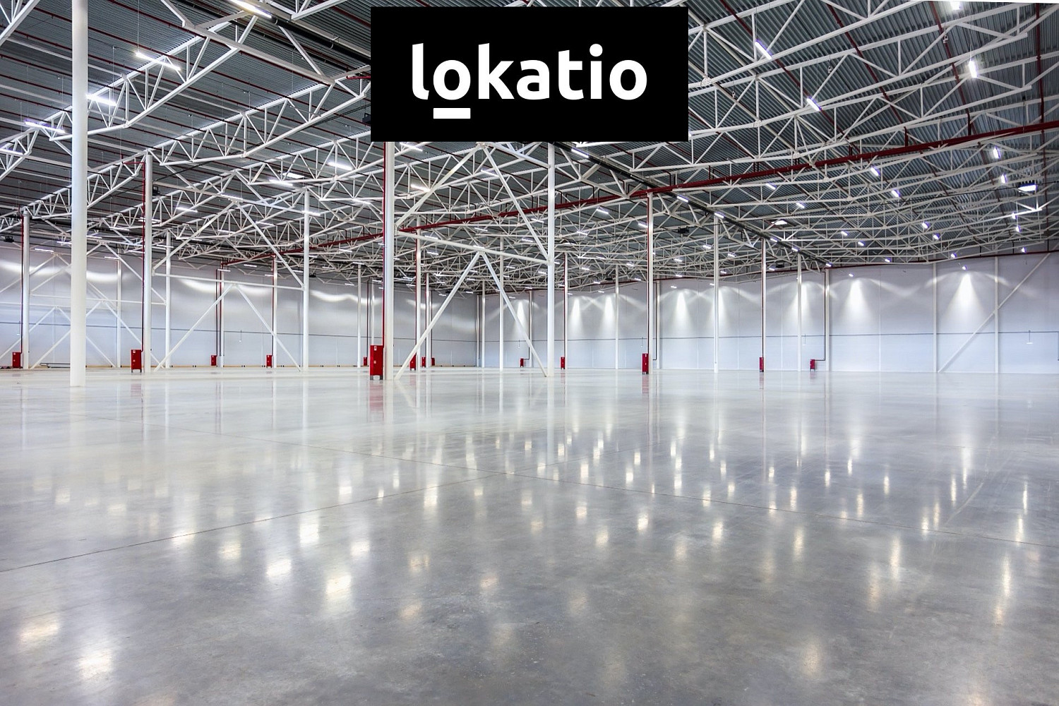 Pronájem skladovacích prostor 5 000 m² — photo 2