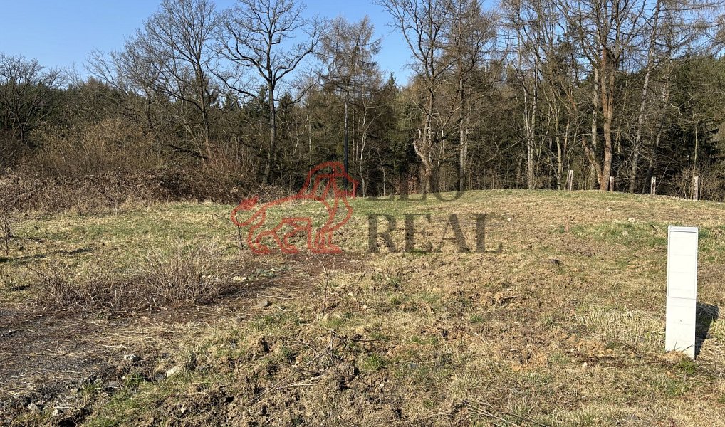 Prodej stavebního pozemku 1 100 m², Ludvíkovice – náhled fotky 2